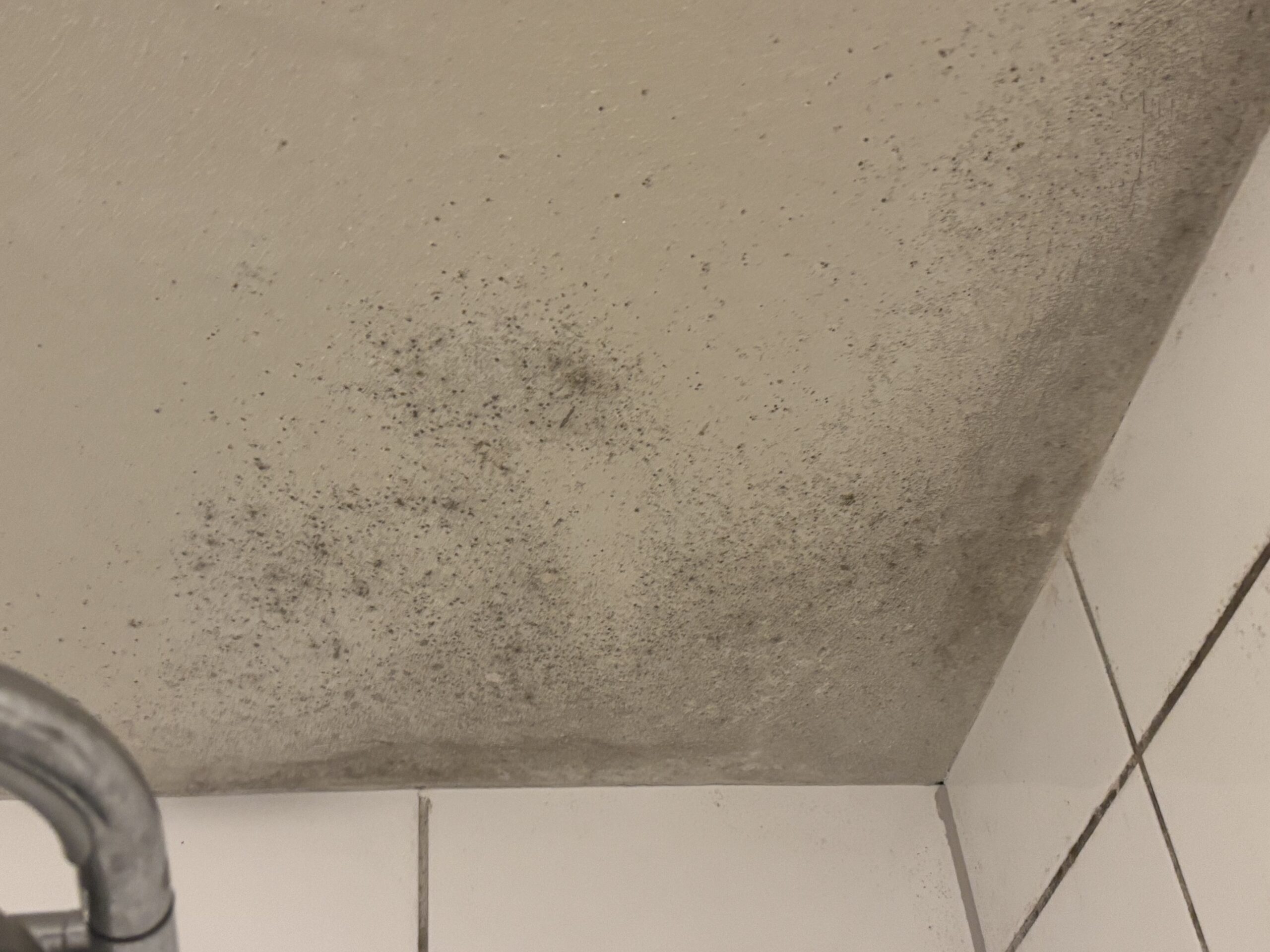 Schimmel in badkamer