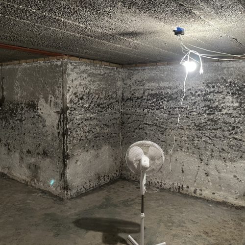 Schimmel op muur 10 Schimmel in de kelder