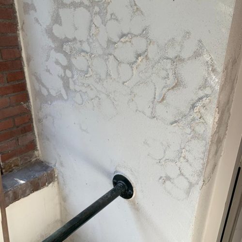 Schimmel op muur 15 Zwammen en schimmels muur